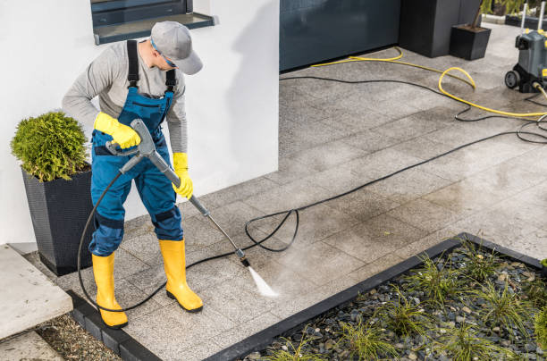 Best Pressure Washing Near Me  in Avodo Heights, CA